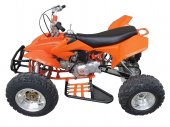 2011 Sachs Typhoon 90 photo
